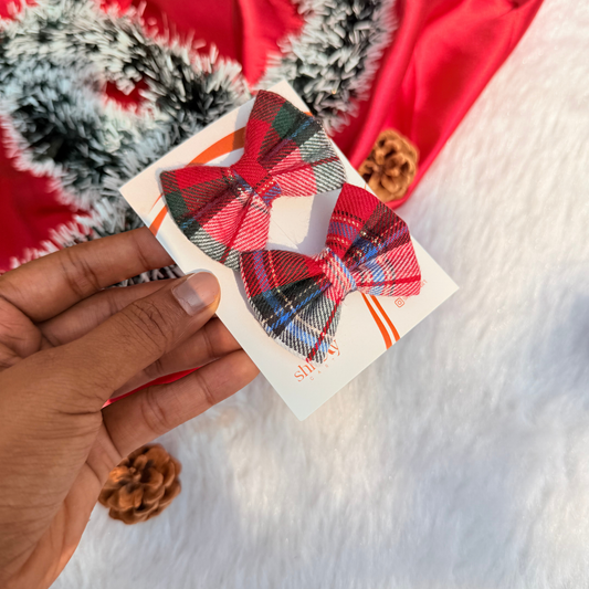 Christmas Check